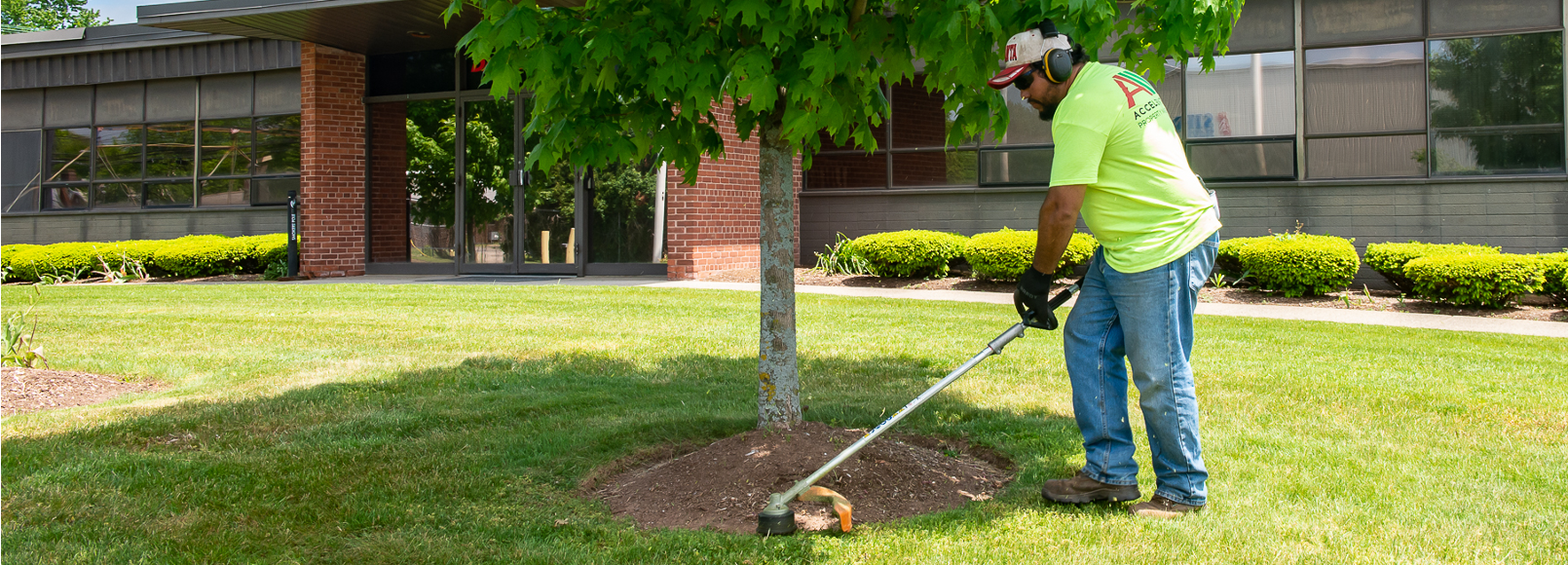 Landscaping