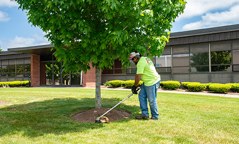 Splash Landscaping